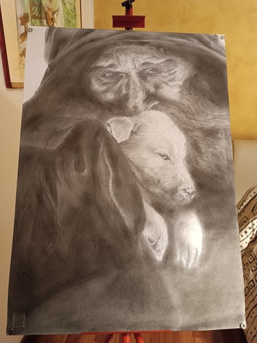 Disegno matita carboncino - e,